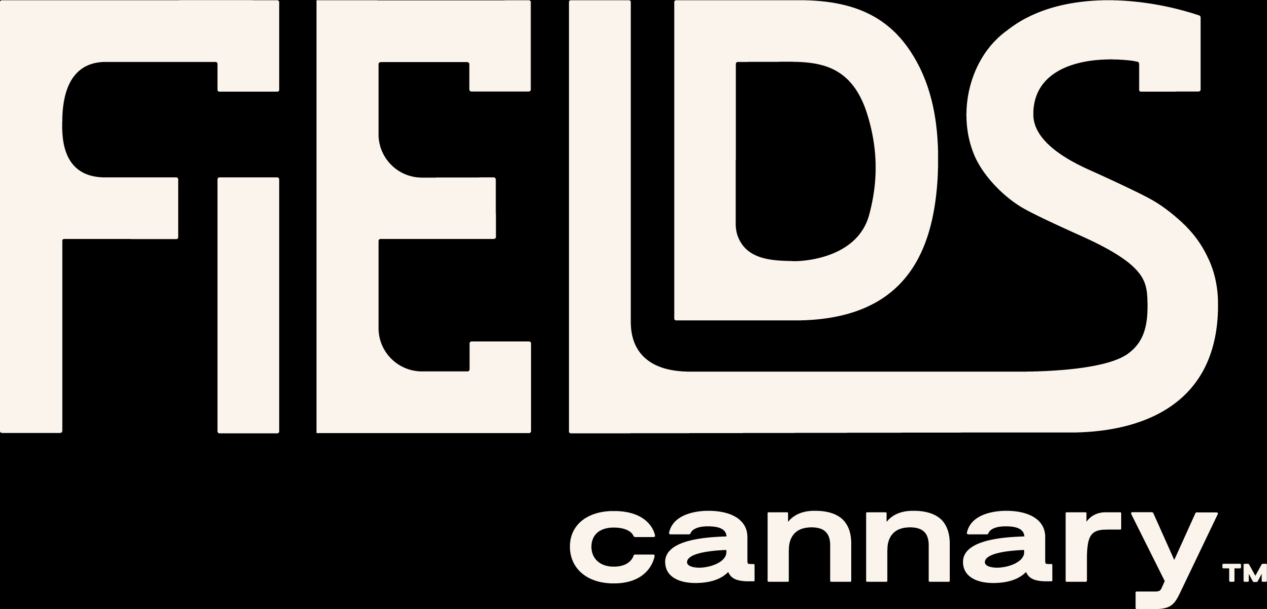 Financial Technology Company | Intro-act